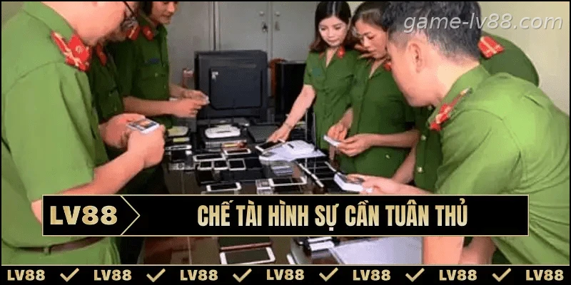 Tìm hiểu các chế tài pháp luật liên quan