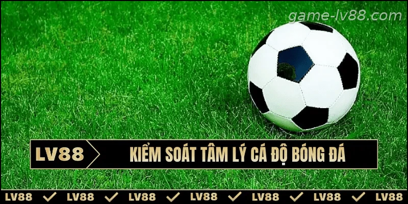 Kinh nghiệm kiểm soát tâm lý khi xem bóng đá